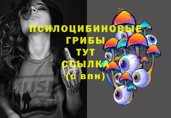 СК Тайга