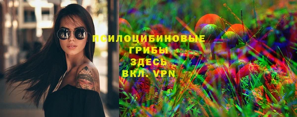 СК Тайга