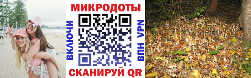 купить  цена  маркетплейс состав  Галлюциногенные грибы мицелий  Торжок  KRAKEN вход 