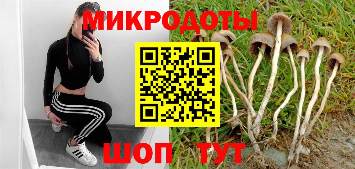 Торжок  магазин продажи наркотиков  Вход с VPN  Псилоцибиновые грибы мицелий 