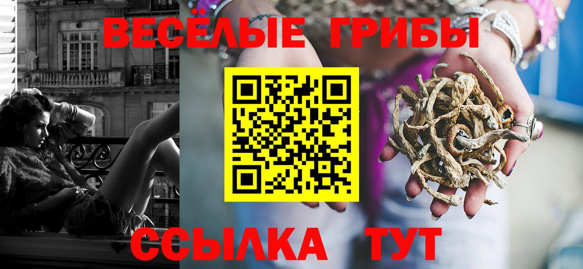 Галлюциногенные грибы Magic Shrooms Торжок