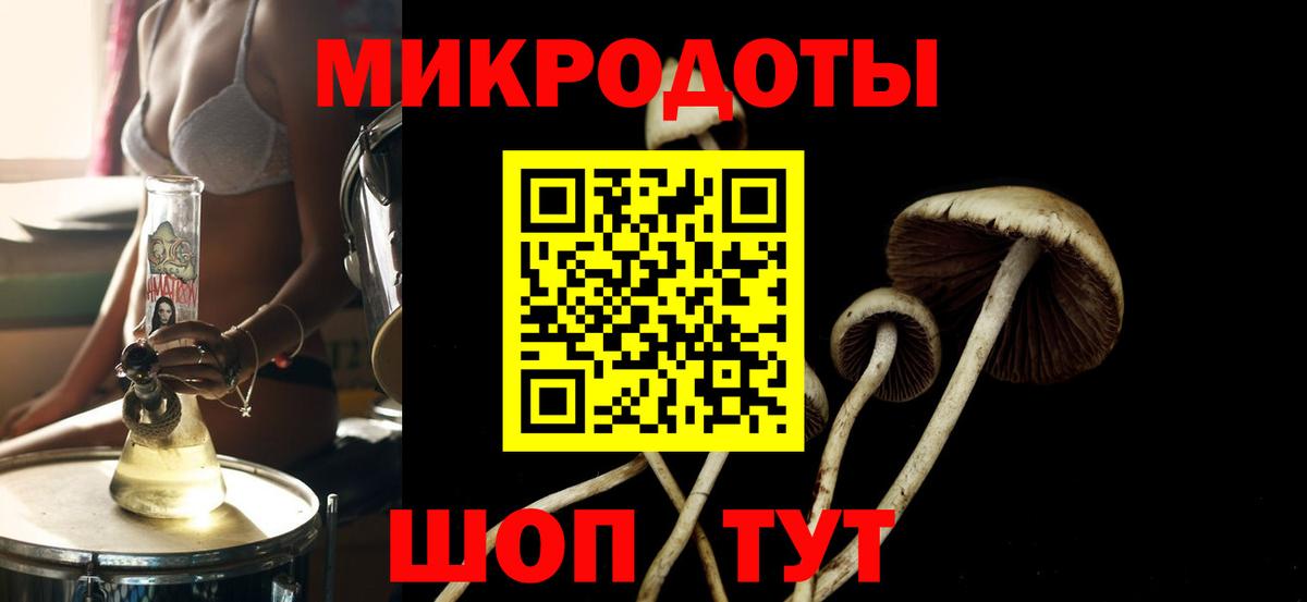 Галлюциногенные грибы прущие грибы Торжок